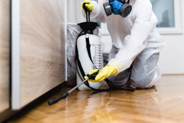 Best Commercial Pest Control Services  in Piru, CA