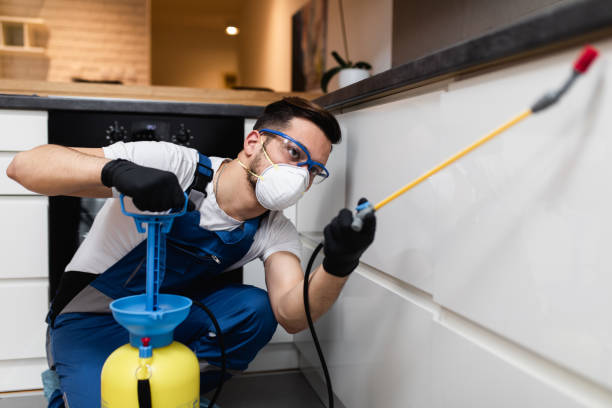 Best Pest Control Treatment  in Piru, CA