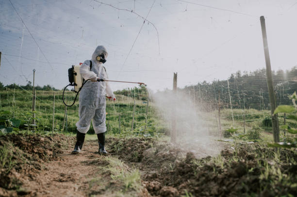 Best Commercial Pest Control Services  in Piru, CA