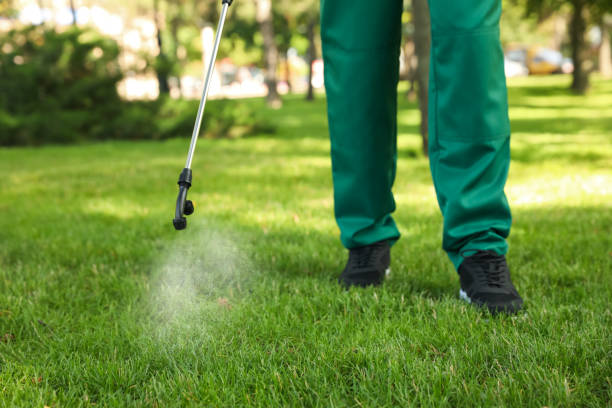 Best Residential Pest Control  in Piru, CA