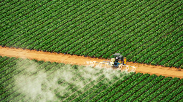 Best Termite Control Services  in Piru, CA