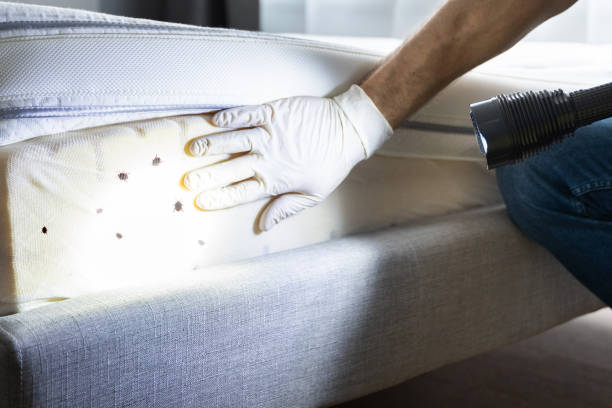 Best Commercial Pest Control Services  in Piru, CA