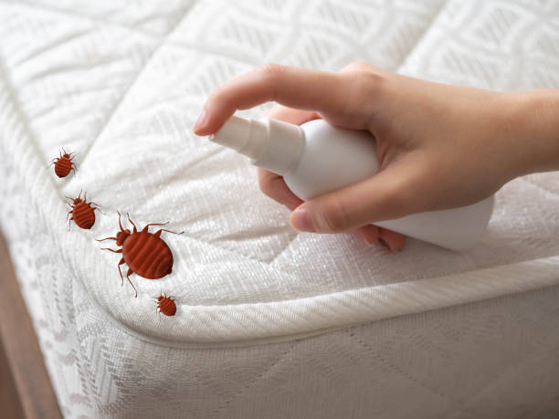 Best Pest Prevention Services  in Piru, CA