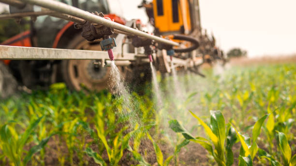Best Ant Control Services  in Piru, CA